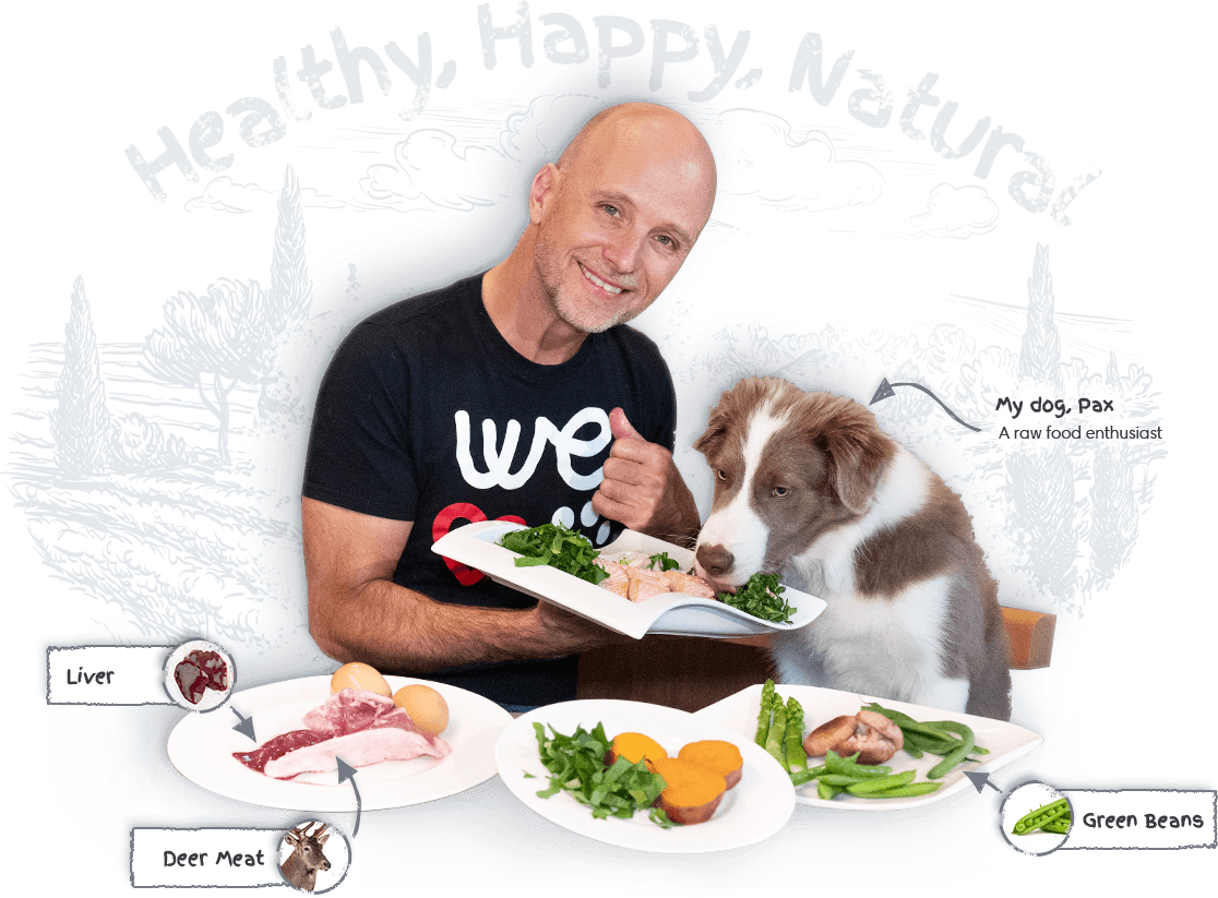 Healthy Homemade Dog Food Raw Dog Food Recipes Dr Peter Dobias